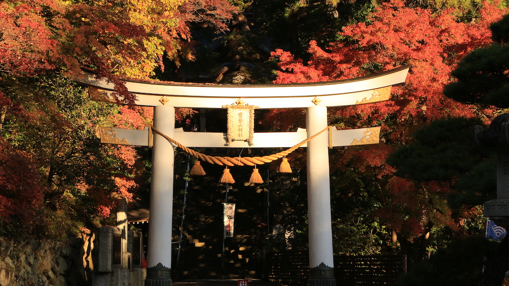 Hodosan-Jinja Shrine_Torii2