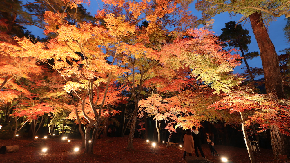 Tsukinoishi-Momiji-Park2.jpg