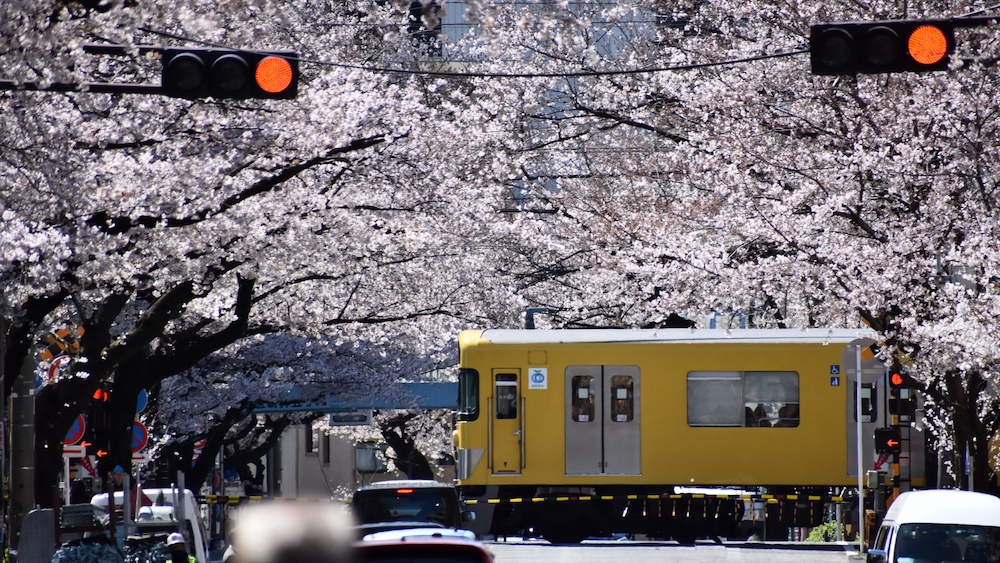 Araiyakushi-mae-Station_3320993_m.jpg