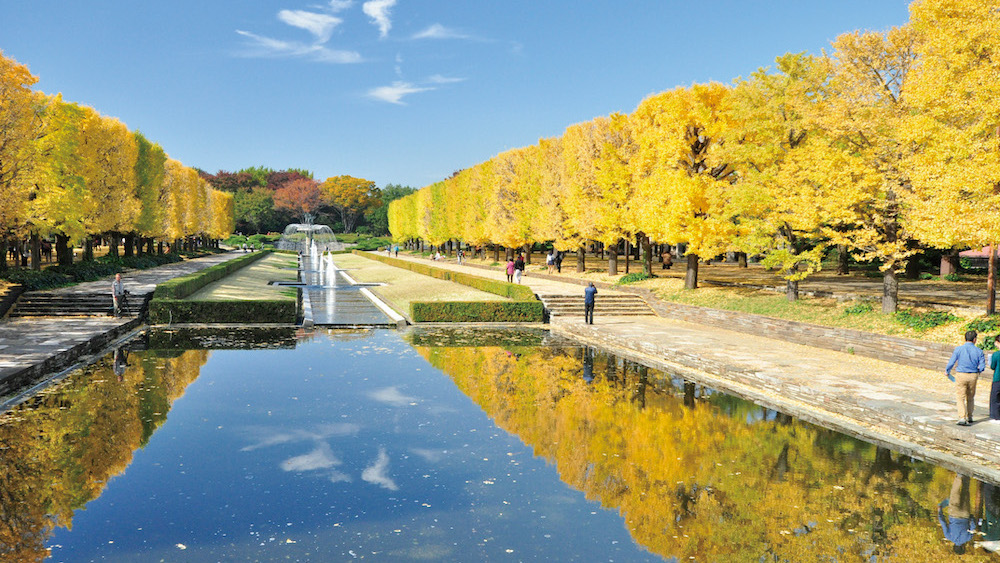 Showa-Kinen-Park1.jpg