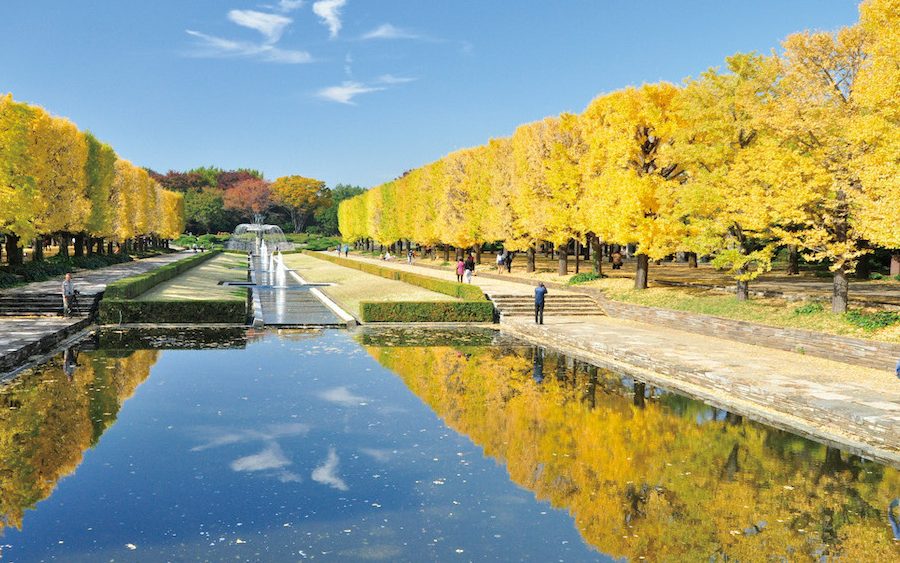 Showa-Kinen-Park1.jpg