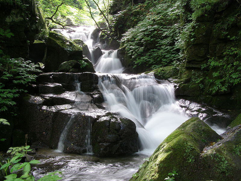 800px-Oirase_keiryuu