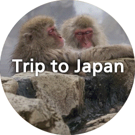 triptojapan