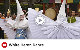 vb-heron