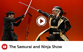 vb-samurai