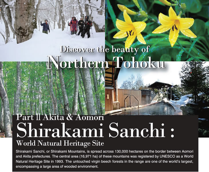 Discover the beauty of Northern Tohoku – Part II