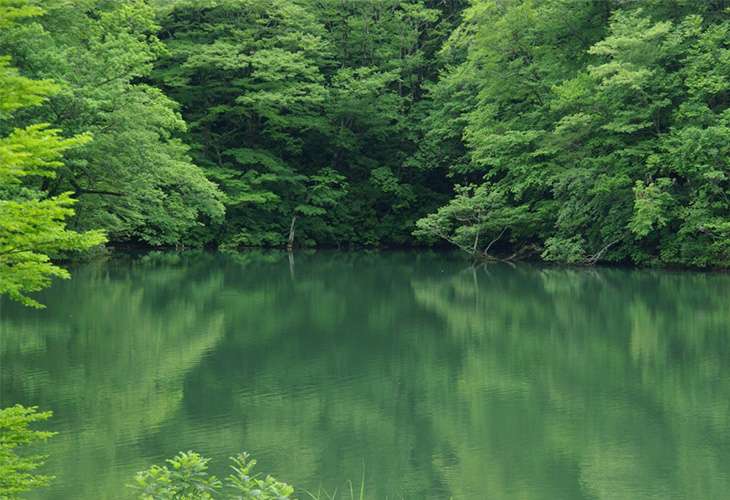 LakeJyuniko