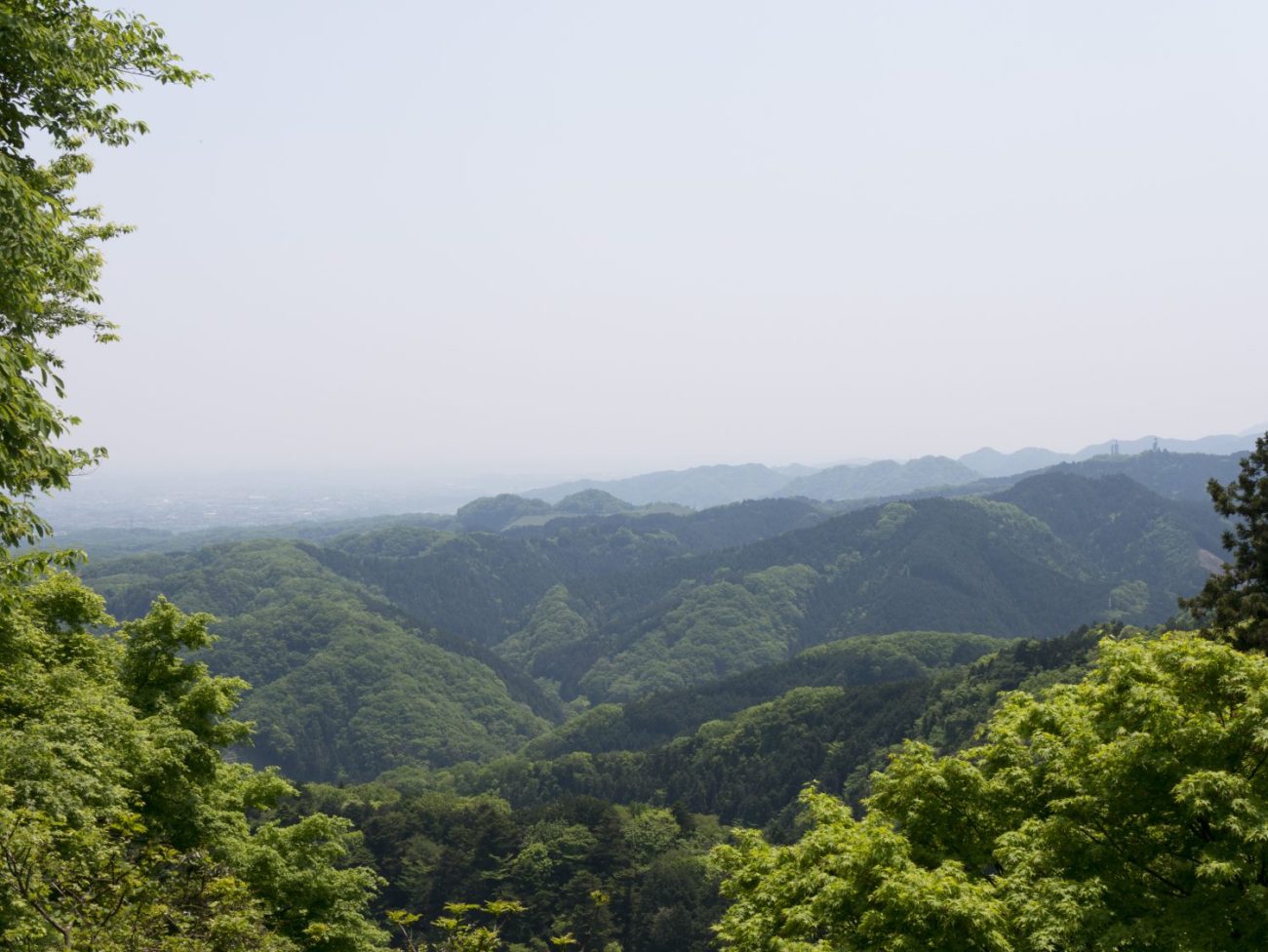 P1040733