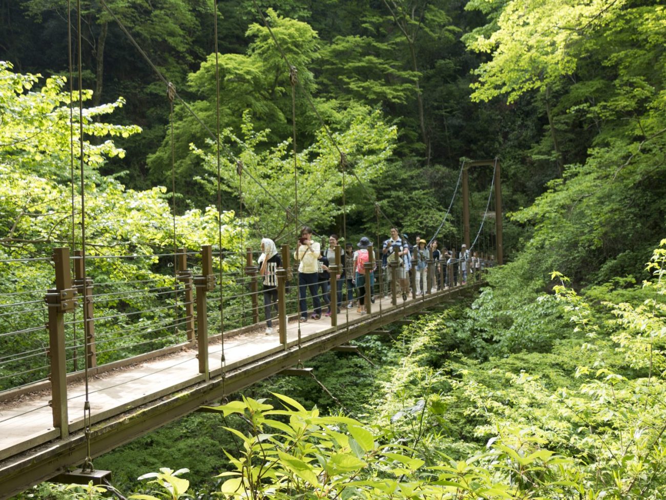 P1040815
