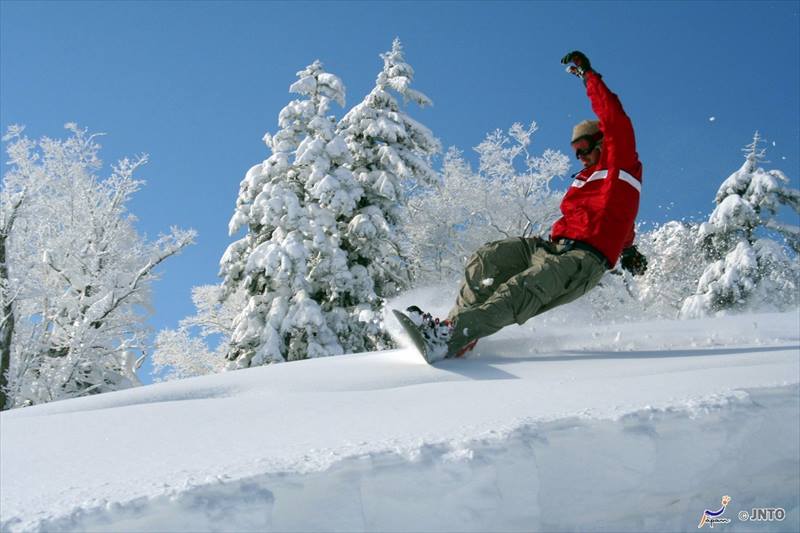 furano-powder