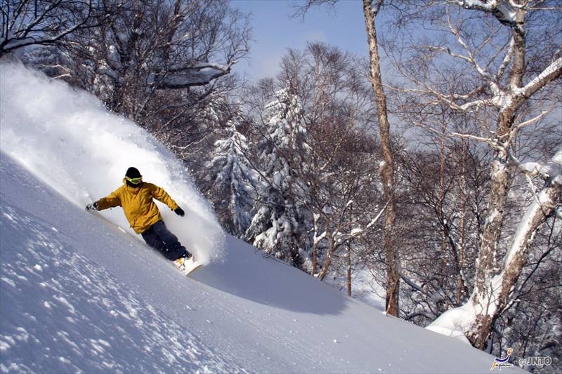 furano-snowboard