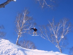 niseko-ski-300×225