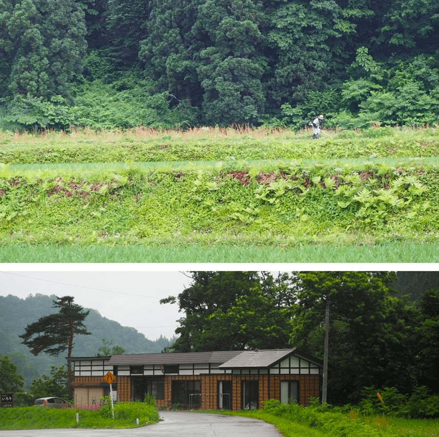 nature-rural-japan