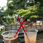 enjoy-lake-yamanakako9