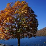 lake-chuzenji-autumn30