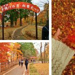 mt-fuji-autumn-part-1-14