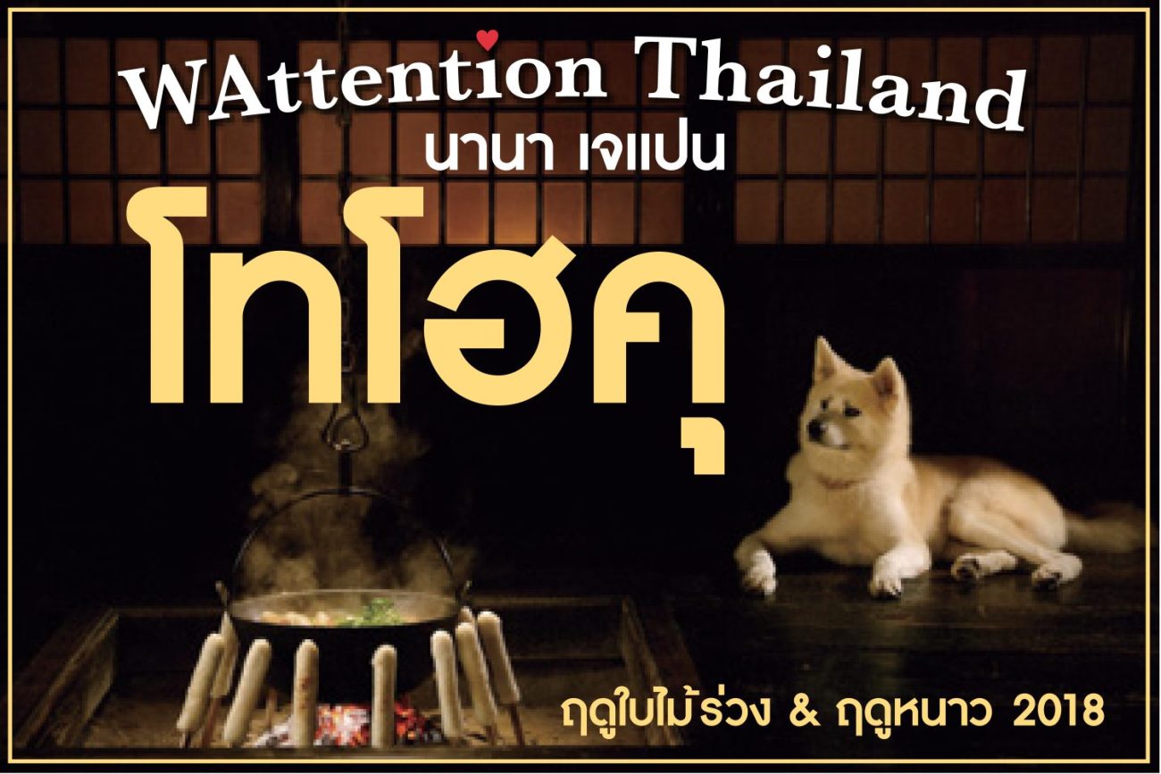 THAILAND_BANNER4_8.08