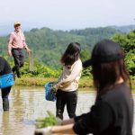 NIIGATA_TW2870.jpg