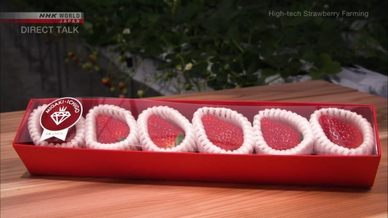 กล่องสตรอว์เบอร์รี่ของ Migaki-Ichigo ซึ่งทำการตลาดว่าเป็น “อัญมณีที่กินได้”