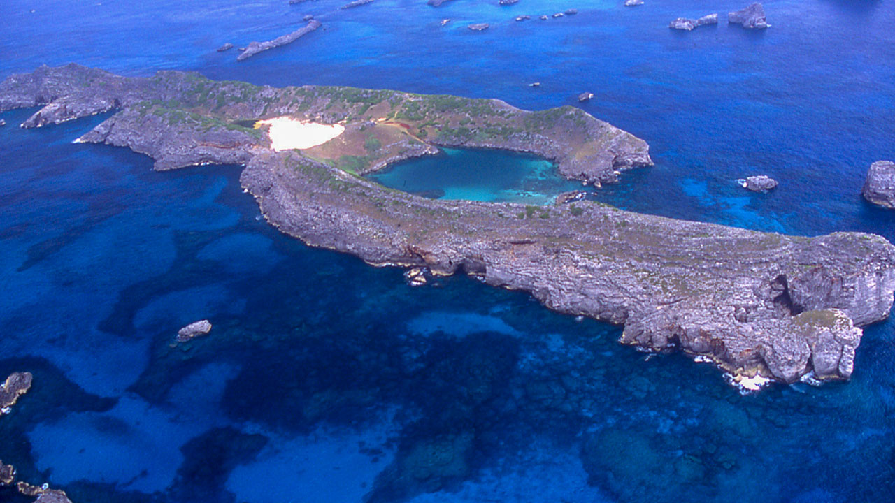東京的世外桃源:世界自然遺產小笠原群島 WAttention
