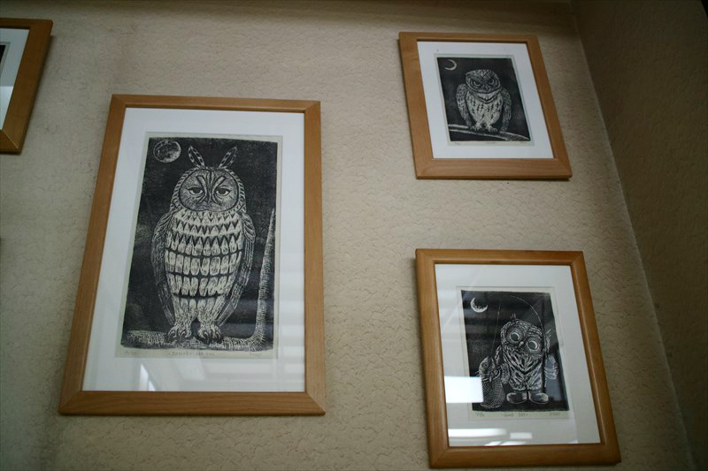 Owl-prints