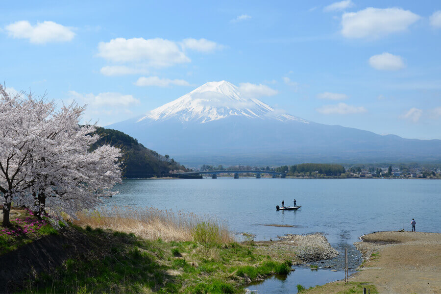 View from the north shore of Lake Kawaguchiko