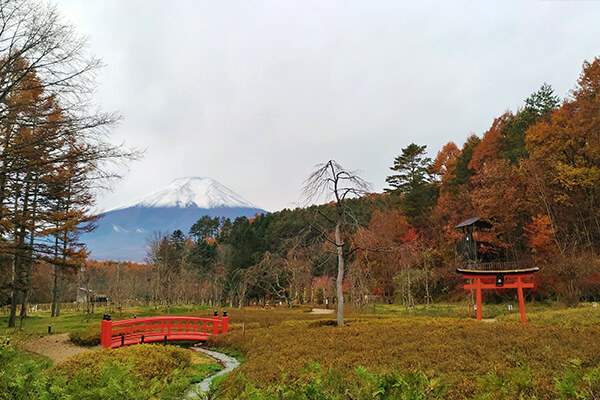 A view of Mt. Fuji from Oshino Ninja Village