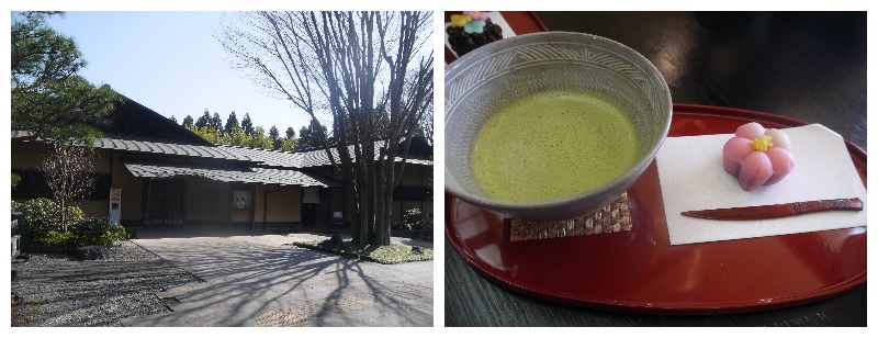 喝茶邊欣賞「彩翔亭」的日式庭園