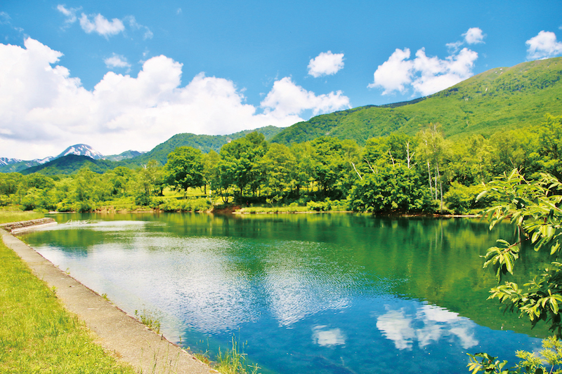 笹峰高原清水池，映襯藍天白雲與池邊的蒼翠林木，景色迷人。