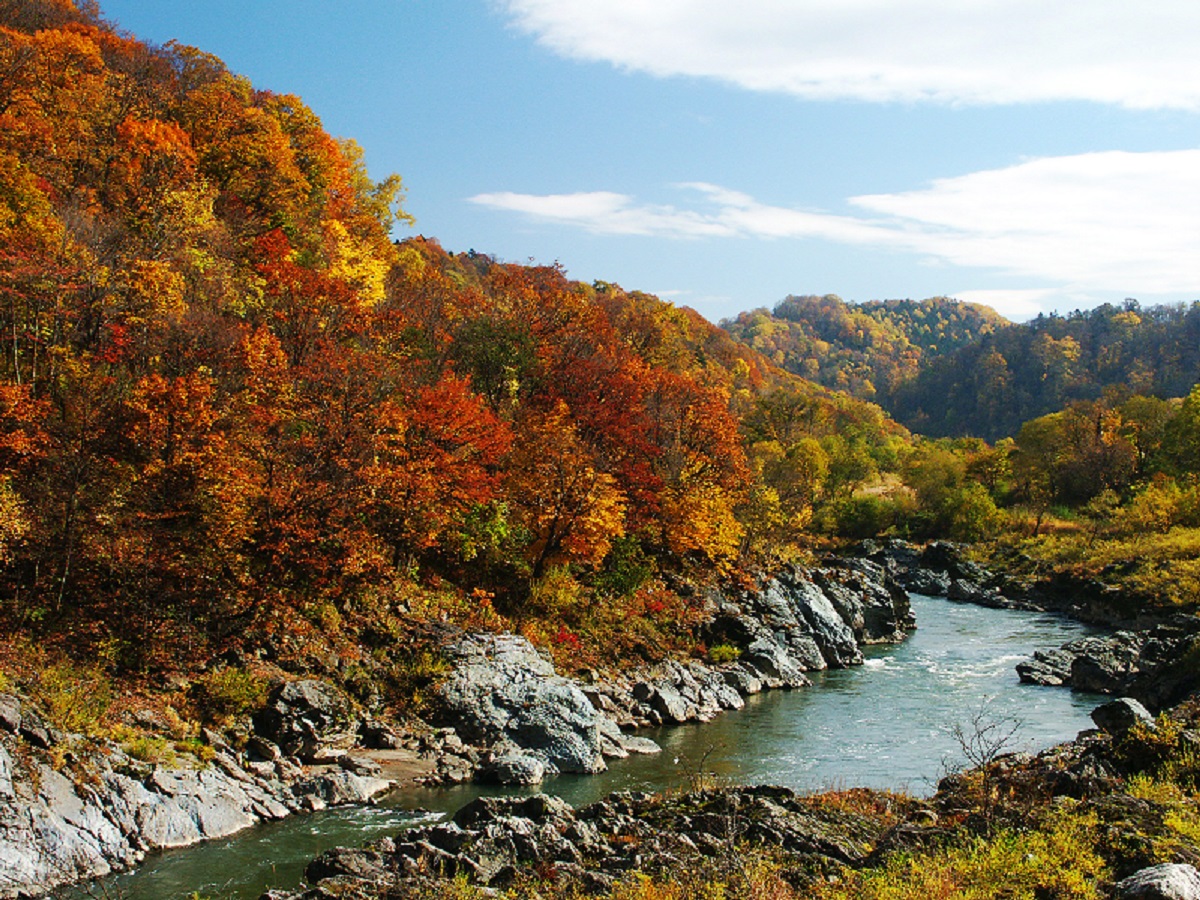 飽覽紅葉風光今秋就到北海道賞綺麗秋色 Wattention