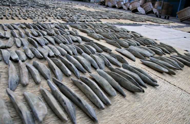 カネサ鰹節商店以傳統工法製作鹽醃鰹魚