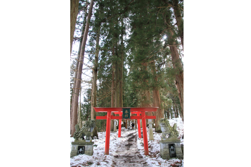 穿過紅色的鳥居，走過參道就可以抵達櫻松神社