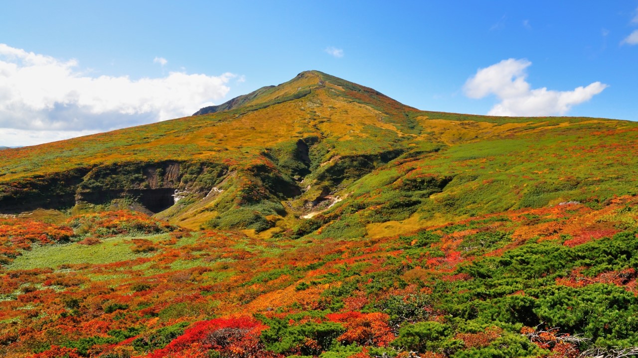 秋季的栗駒山染上或紅或黃的顏色，有「神的絨毯」之美譽