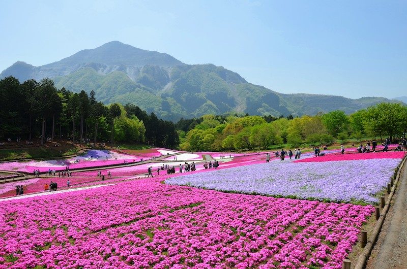 Chichibu_0041a