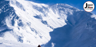 Higashikawa : A Warm Escapade past the Snowy Hokkaido