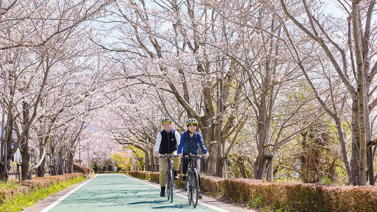 Tsukuba Kasumigaura Ring Ring Road