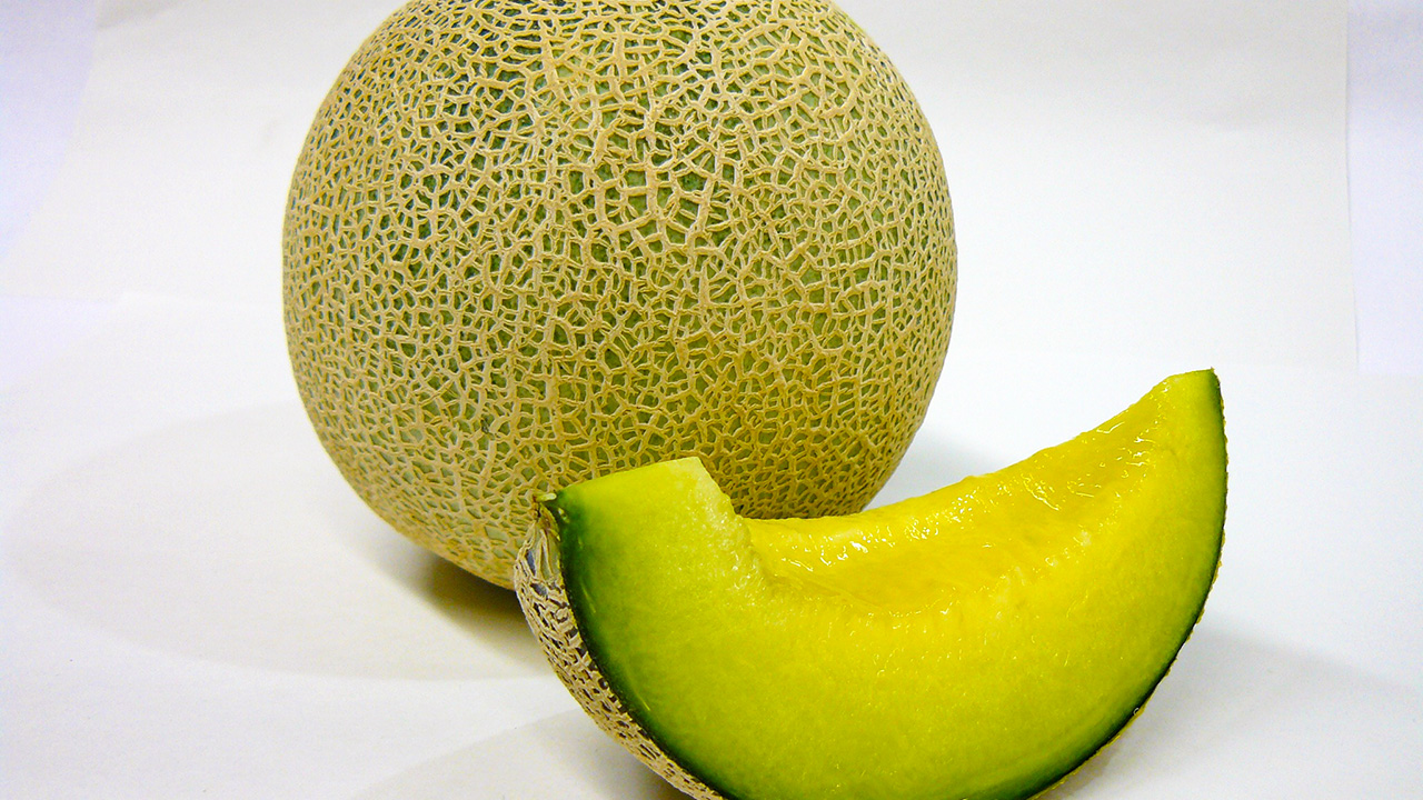 melon