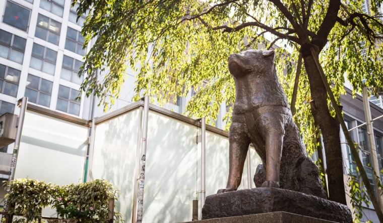 the Hachiko statue