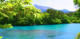 Cool Treks Around Tokyo (2): Goshikinuma in Fukushima Prefecture Goshikinuma