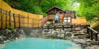 Yamagata Onsen Oasis: Zao Dairotenburo