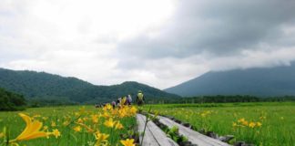 Cool Treks Around Tokyo (3): Oze National Park in Gunma Prefecture
