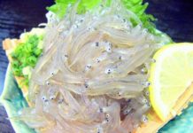 A Taste of Shun (旬): Serious about shirasu