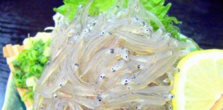 A Taste of Shun (旬): Serious about shirasu