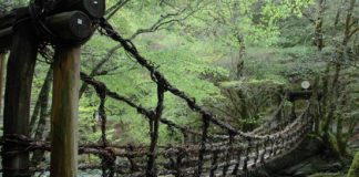 Picturesque Japan: Feel the suspense crossing Iya Kazura Bridge Kazurabashi