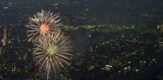 Fireworks from a different angle