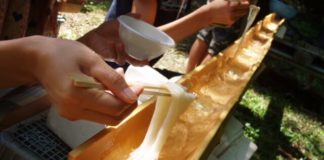 A Taste of Sh旬n:Catch Some Sliding Somen A Taste of Shun: Catch Some Sliding Somen