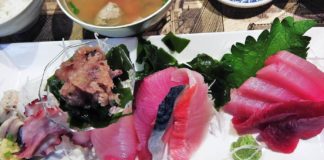 Choshi City, Chiba: Sun and Seafood Choshi City, Chiba: Sun and Seafood