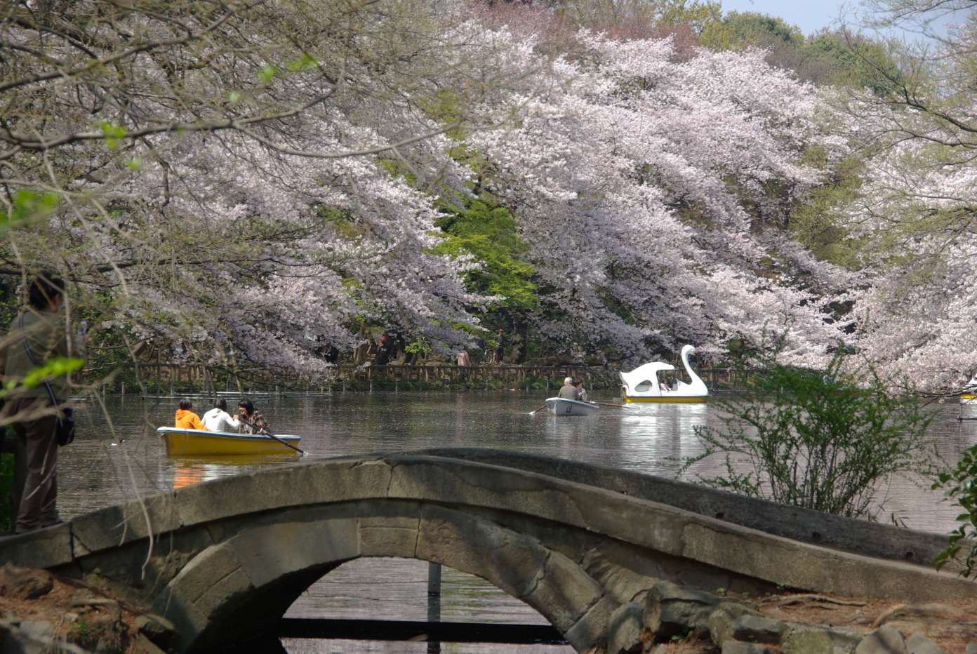 Inokashira Park