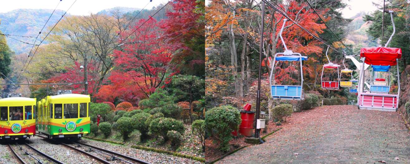 Mt. Takao