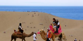 Picturesque Japan: The Tottori Sand Dunes